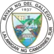 Official seal of Del Gallego