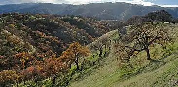 Del Valle Regional Park - Eagle Crest Trail