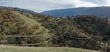 Del Valle Regional Park -  Ridgeline Trail