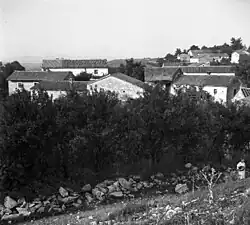 Račice in 1955