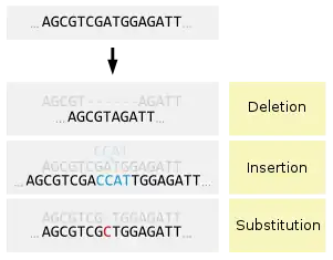 Image 4Types of small-scale mutations (from Mutation)