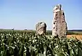 The menhirs