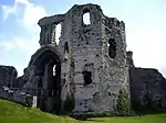 Denbigh Castle