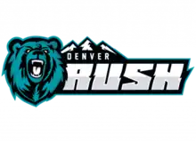 Team logo