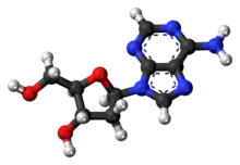 Ball-and-stick model of the deoxyadenosine molecule