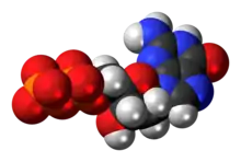 Space-filling model of the deoxyguanosine diphosphate anion