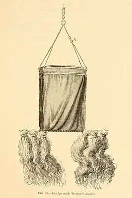 The hempen tangles attached to the sides of the dredge, to capture marine life from the sea floor: 257 