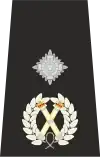 Isle of Man Police Deputy Chief Constable Epaulette