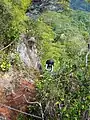 Steep descent via a series of metal ladders at Gunung Tangga Lima Belas