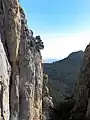 Image 16 El Chorro, Spain (from Portal:Climbing/Popular climbing areas)