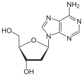 Skeletal formula of deoxyadenosine