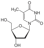 Chemical structure of thymidine