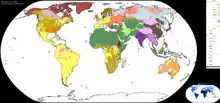 Religions of the world, mapped by distribution