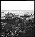 Debris on the beach