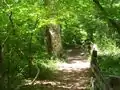 A nature trail in the park