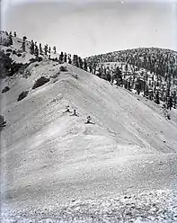 Straddling Devil's Backbone ridge