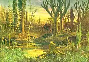 Image 27The Devonian marks the beginning of extensive land colonization by plants, which – through their effects on erosion and sedimentation – brought about significant climatic change. (from Evolutionary history of plants)