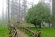 Dhanaulti Eco park