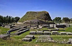 The Dharmarajika Stupa, a Mauryan-era Buddhist stupa near the city of Taxila (2010)