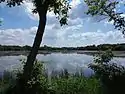 A placid lake reflects the clouds in the blue sky above it. A dark tree crosses the foreground.