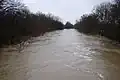 Town Creek at Brewer Rd under bankfull conditions Dec. 10 2008.