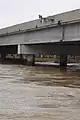 Town Creek at 278 Rd (USGS station)under bankfull conditions (Dec 10 2008)