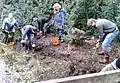 Digging out wet woodland