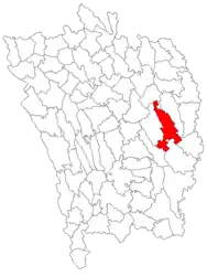 Location in Vaslui County