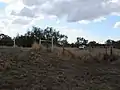 Dingo Barrier fence crossing, near Bell, Queensland. 2018