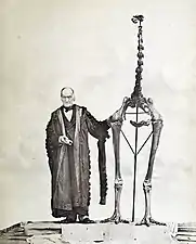 Skeleton of the extinct moa from New Zealand alongside Richard Owen. Moa exhibited insular gigantism, small brain size and complete loss of wings including the stylopod element.