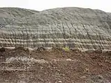 Well-stratified and fully exposed sedimentary formations in Dinosaur Provincial Park, Alberta, Canada) extend over large areas exposing eons of rock history through numerous wind and water exposed strata layers