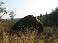 Field boulder