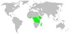 Map showing distribution of Udubidae in Central Africa