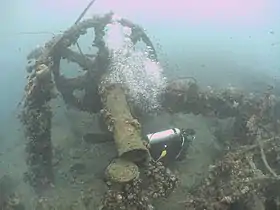 Diver on the wreck of the Igara.