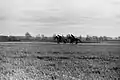 Horses training in 1990