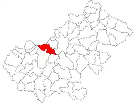 Location in Satu Mare County