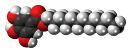 Space-filling model of the dodecyl gallate molecule