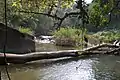 Stream in the mountains