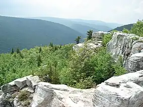 Dolly Sods Wilderness, West Virginia: View from atop Breathed Mountain.