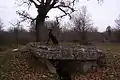 The Dolmen in the Bois des bœufs