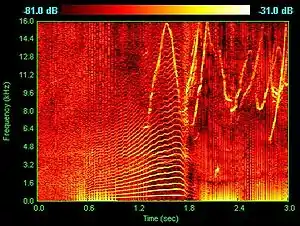 Spectrogram of dolphin vocalizations; chirps, clicks and harmonizing are visible as inverted Vs, vertical lines and horizontal striations respectively.