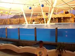 Kish Dolphinarium