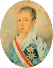 Painting showing the head and shoulders of a boy wearing a high collar and a coat adorned with medals and a striped sash of office