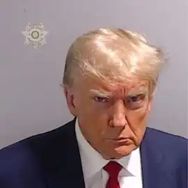 Donald Trump is wearing a dark blue suit, white shirt, and red tie. He stares into the camera lens from up close, with his chin tucked in, his lips pressed together, and his forehead furrowed. His eyes are bloodshot, with bags underneath. The light falls on his face from above to his left, with the right side of his face in deep shadow and his comb-over gleaming platinum blonde and sticking out on the left side. In the upper left corner of the image is the logo of the Fulton County Sheriff's Office, Sheriff Patrick Labat.