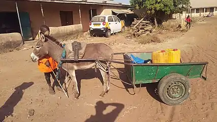 A Donkey Cart used for transporting goods in Northern part of Ghana