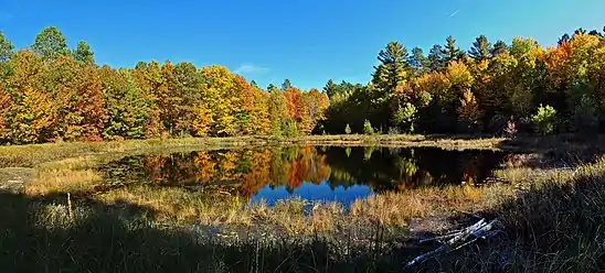 Unnamed lake south of Dorothy Lake