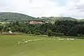 Dračić - panorama