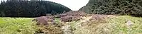 >A panoramic photograph showing the circular bank in front of the burial mound.