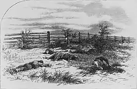 Confederate dead near the Hagerstown Pike (Possibly based on the  photograph to the immediate right.)