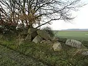 Megalithic chambered tomb "Driehauser Steine"